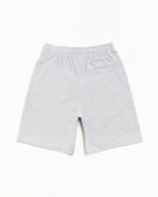 Stussy JERSEY SHORT GREY HEATHER