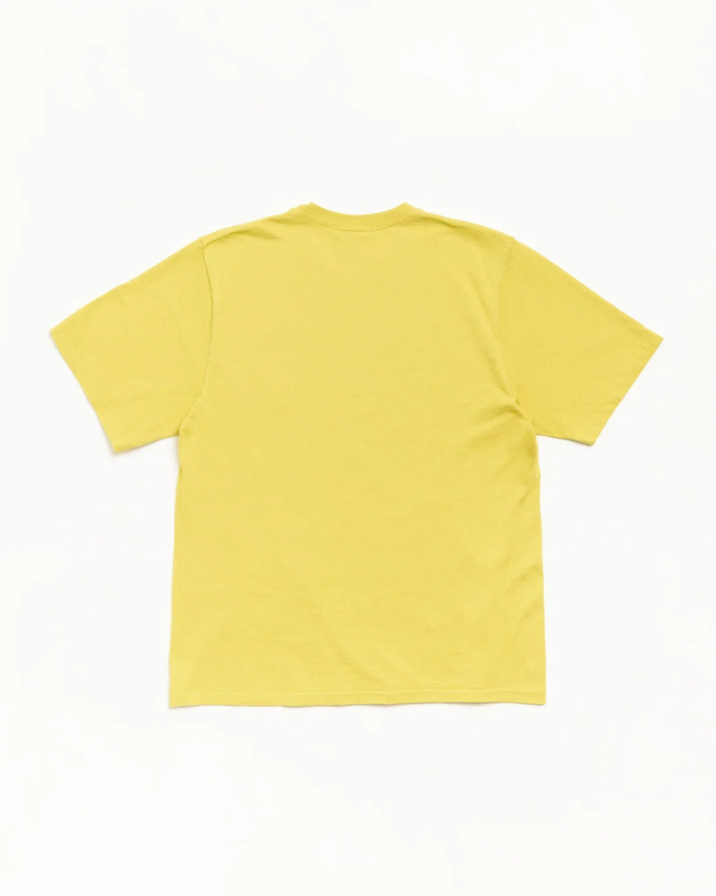 Stussy GARMENT CO. TEE PALM