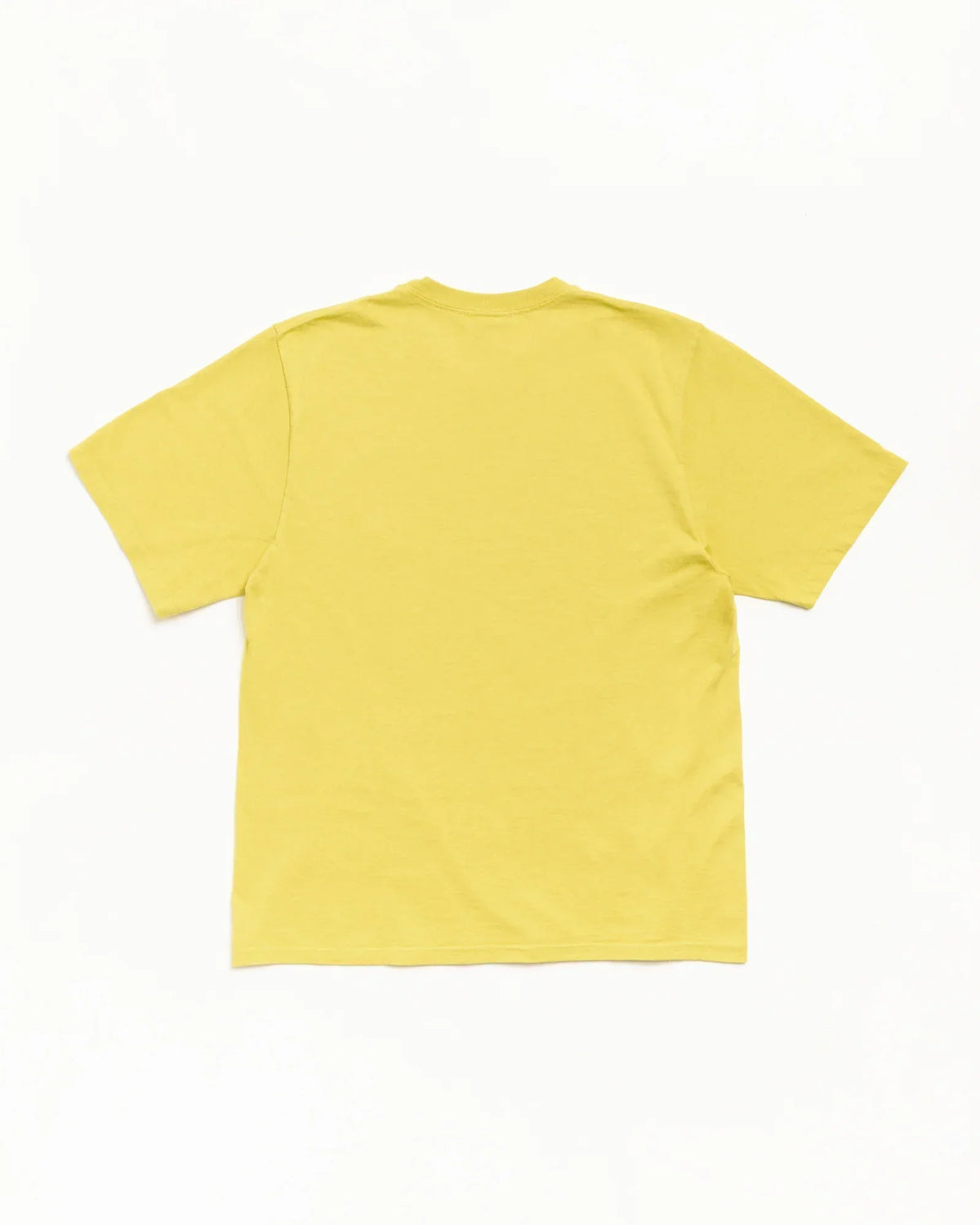 Stussy GARMENT CO. TEE PALM
