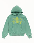 Stussy BLOCK SPORT HOODIE GARMENT DYED ARCTIC