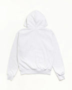 Stussy PRINTED PATTERN ZIP HOODIE BLUE PINSTRIPE